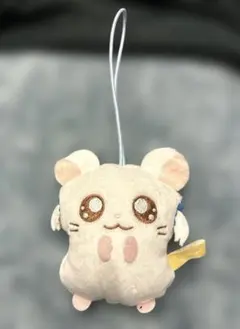 ハム太郎　りぼんちゃんかぷっこフレンズ