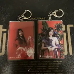 Item thumbnail for item 4396edc9-3b92-4dbe-a524-66be3ef7a651