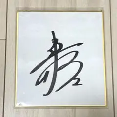 日本バレーボール協会 サイン色紙2004 Amazon.co.jp: 元日本代表 バレーボール 大友愛 山本愛 直筆 サイン