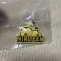 SEVENTEEN めじるしアクセサリー ホシ