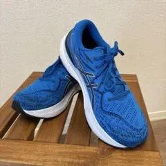 d*1様 ASICS GEL-KAYANO 29 ブルー ランニングシューズ