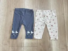 Dick Bruna & miffy パンツ2枚セット