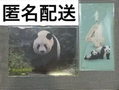 2025年最新】上野松坂屋 クリアファイルの人気アイテム - メルカリ