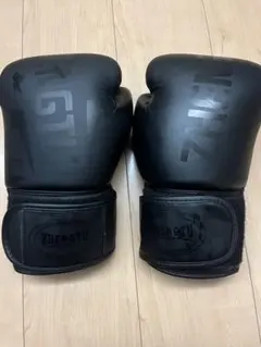 Watanabe Boxing Gym ボクシンググローブ 10oz - メルカリ