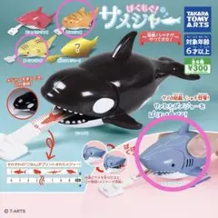 ぱくもぐサメジャー　ホホジロザメ　ネコザメ　トラフザメ　３種セット