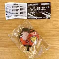 バレーボール男子日本代表 うちわアクリルチャーム 13番 小川智大