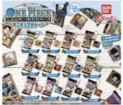 【新品未開封】2点 大海賊シールウエハース ミニチュアチャーム