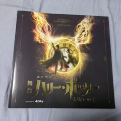 舞台 ハリー・ポッターと呪いの子 パンフレット