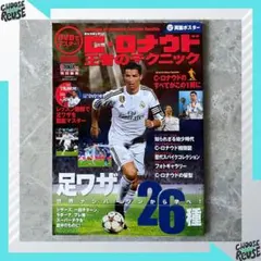 Item thumbnail for item a3f356d0-affc-49f0-a10c-81e8049a2a99