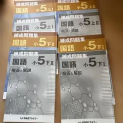 早稲アカ 練成問題集 国語 小5 上下セット 予習シリーズ - メルカリ
