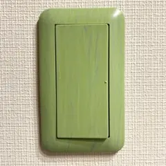 【グリーンウッド 北欧ナチュラル】スイッチカバー コスモシリーズワイド21