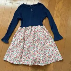 Item thumbnail for item 6bfa7138-b721-4660-82e1-9034f898d687