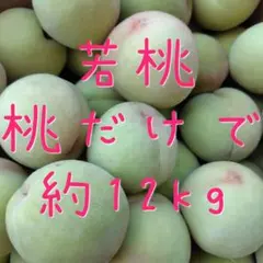 摘果桃 3.5kg （1kg4〜6玉） SALE - メルカリ