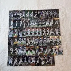 プロ野球チップスノーマルカード 阪神 70枚セット