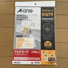 A-one マルチカード 51079 10枚入り