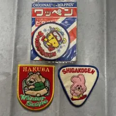 スキーワッペン.シール　11点 2025年最新】スキー ワッペンの人気アイテム - メルカリ