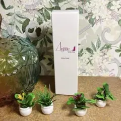アンファティ リフレッシュNA マッサージNA モイスチャNA ユースNA アンファティ リフレッシュNA マッサージNA モイスチャNA ユースNA