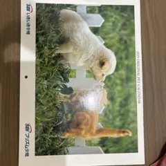 Item thumbnail for item efef05ba-63df-4a5b-b881-0a5c09d5d5a5