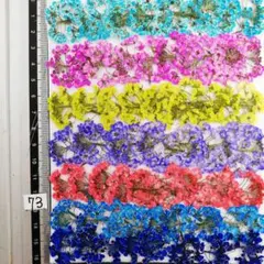 スーパーアリッサム　染め 　 No73 @¥850