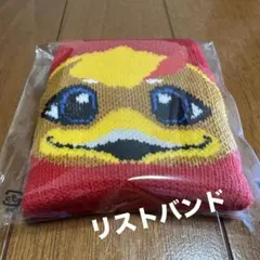 2026年最新】ツエーゲン 金沢の人気アイテム - メルカリ