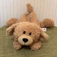 NICI トイプードル 犬 ペンケース 筆箱のサムネイル
