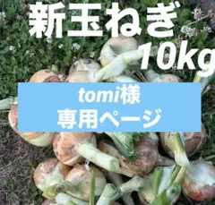新玉ねぎ　LL 10kgのサムネイル
