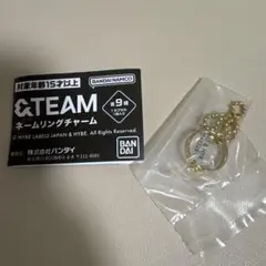 ＆TEAM エンティームガチャガシャポン　ネームリング　チャーム　EJ 新品①のサムネイル