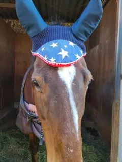 ★クリスマス限定値引き★ 乗馬 イヤーネット