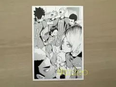 【新品】ハイキュー!! 10thクロニクル フォトカード 音駒高校 ③