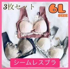 6l