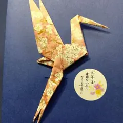 Item thumbnail for item 80a6f01d-d5a2-497b-b137-c02ad4de5525