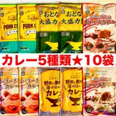 【超お得な★まとめ売り】大盛カレー/ビーフ/バターチキンなど5種類★計10袋★Cのサムネイル