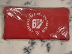 千葉ジェッツ　ファンクラブ特典 あしもとネット付きシートクッション