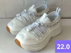 Item thumbnail for item f0d7c617-948c-4ae8-bc25-dfda5404f0cd