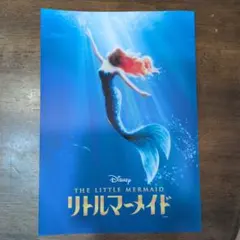 Item thumbnail for item 2e0d8bf0-f93e-4894-86af-a873a1adb14e