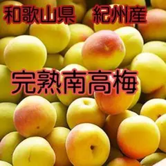 和歌山県紀州産　みなべ　　完熟３キロ南高梅　無農薬栽培　キロのサムネイル