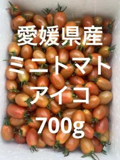 愛媛県県産 ミニトマト アイコのサムネイル