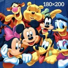 Disney　ディズニーキャラクター　ブランケット　毛布　大判　180×200