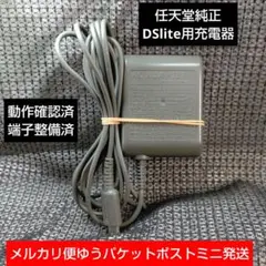 ③DSlite用 充電器 動作確認整備済み 即購入歓迎 任天堂純正USG-002