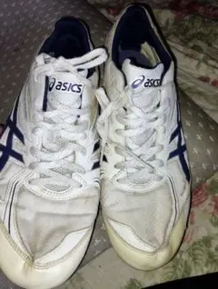 Item thumbnail for item 53938a61-91c6-442c-9809-d8ac62a3a64d