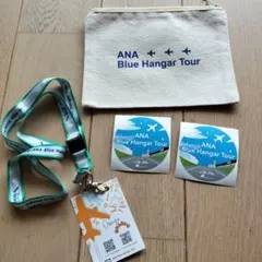 ANAピンバッジセット 那覇空港 OKA - メルカリ