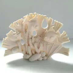 2025年最新】珊瑚オブジェの人気アイテム - メルカリ