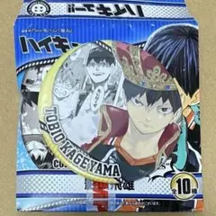 ハイキュー COLLECTION 缶バッジ HEROES 影山 ハイキュー 影山飛雄 HEROES コレクション缶バッジ 10個セット