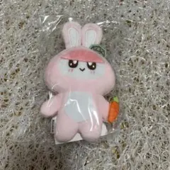 SEVENTEENボンボンイ うさぎ Amazon.co.jp: SEVENTEEN ボンボンイ うさぎ ぬいぐるみ