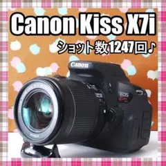 【希少ホワイト ショット966枚】Canon　一眼レフカメラ　超軽量小型 希少ホワイト ショット966枚】Canon 一眼レフカメラ 超軽量小型 - メルカリ