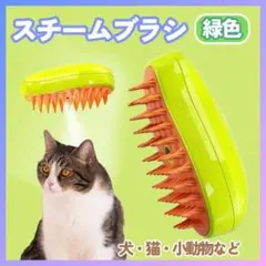 キャット スチームブラシ USB充電 マッサージ 犬用 猫用 ブラッシング 緑色