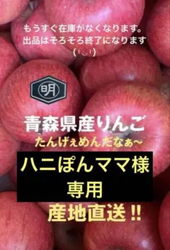 青森県産【サンふじ】358食べきりサイズ♪3kg13〜14個入ハニぽんママ様専用