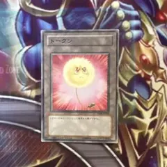 遊戯王　綿毛トークン　ノーマル 怒り