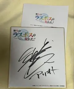 井上あずみ 直筆サイン入りボール ジブリ となりのトトロ イベント入手