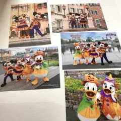 ディズニー ハロウィン 2025 東京ディズニーシー 写真 フォト 5枚セットC